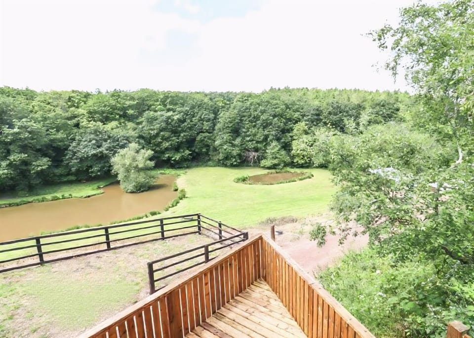 Lake view