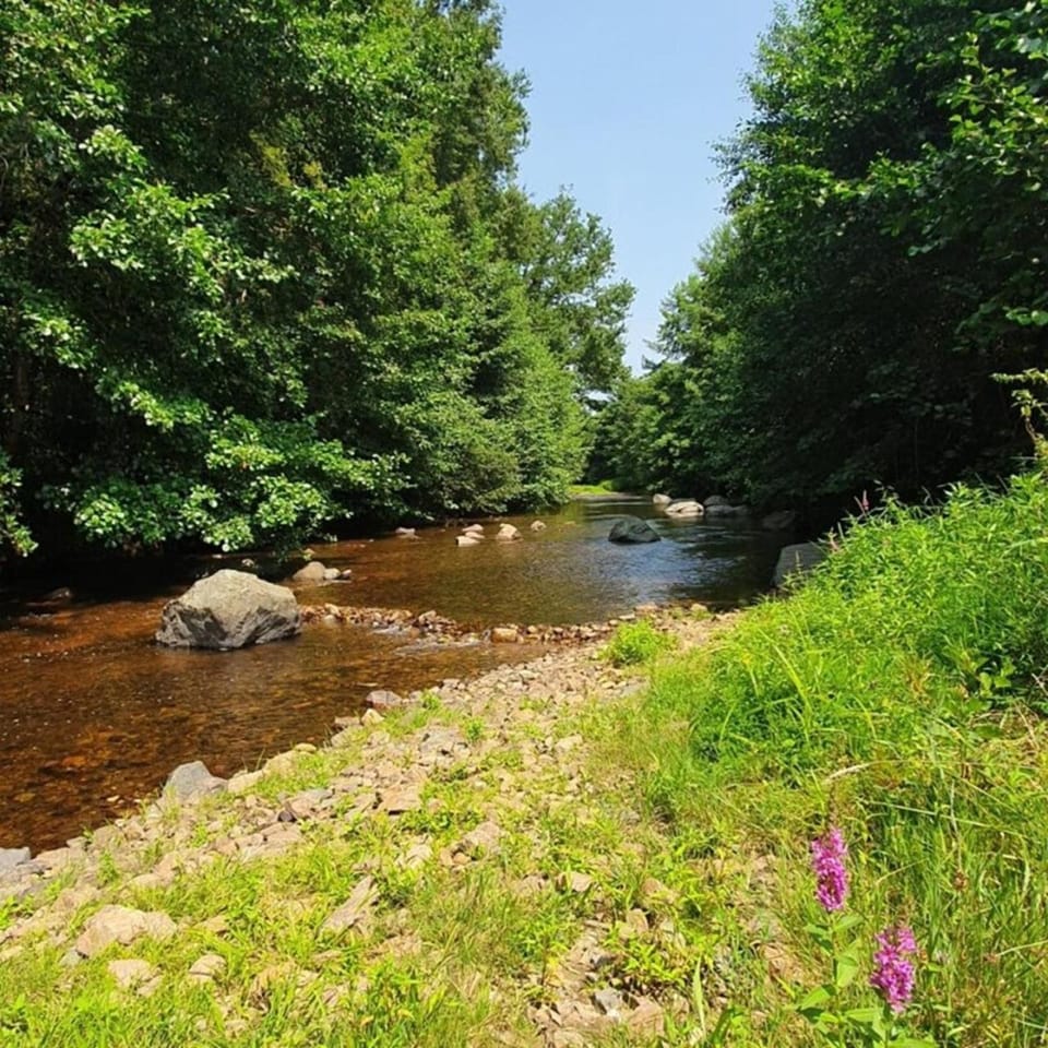 River view