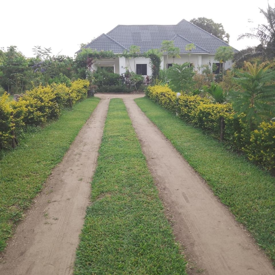 Property building, Natural landscape, Garden view