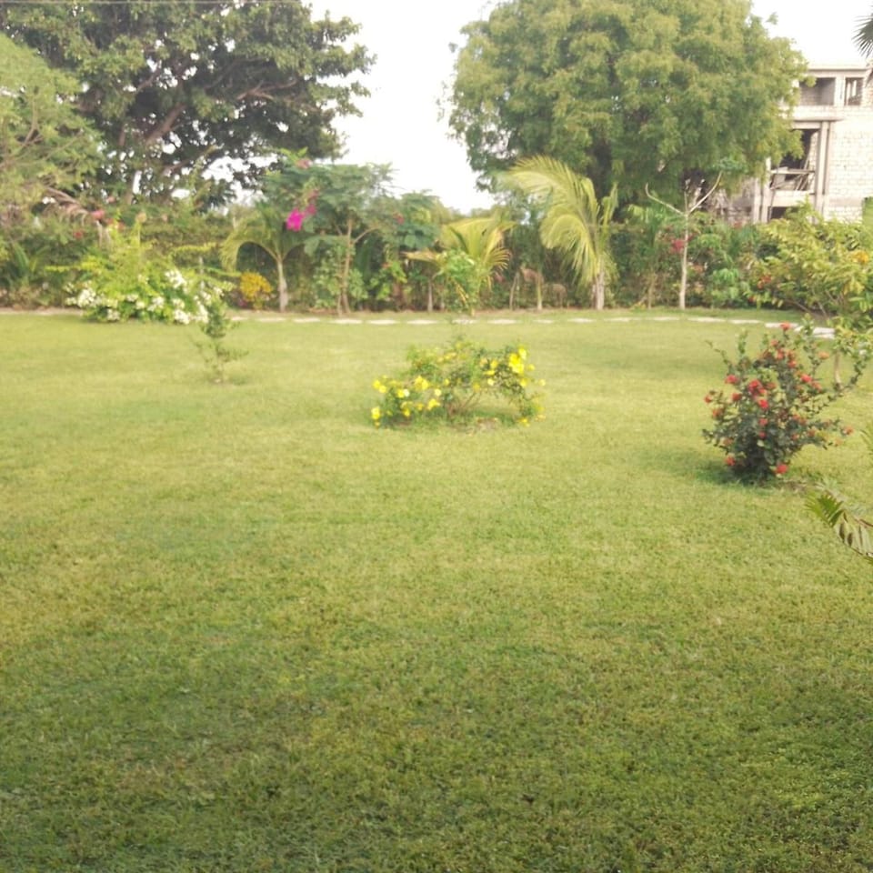 Natural landscape