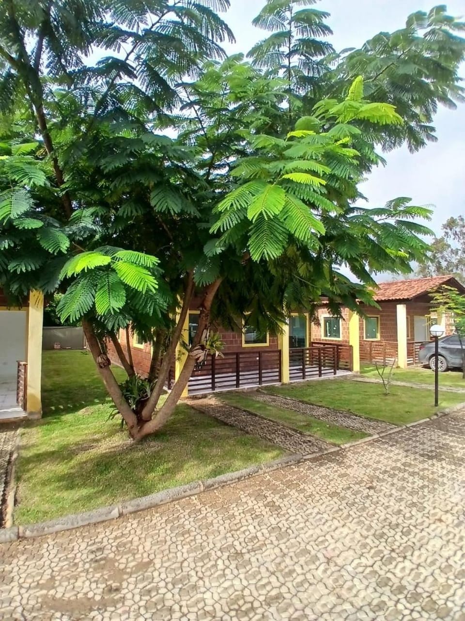 Garden view