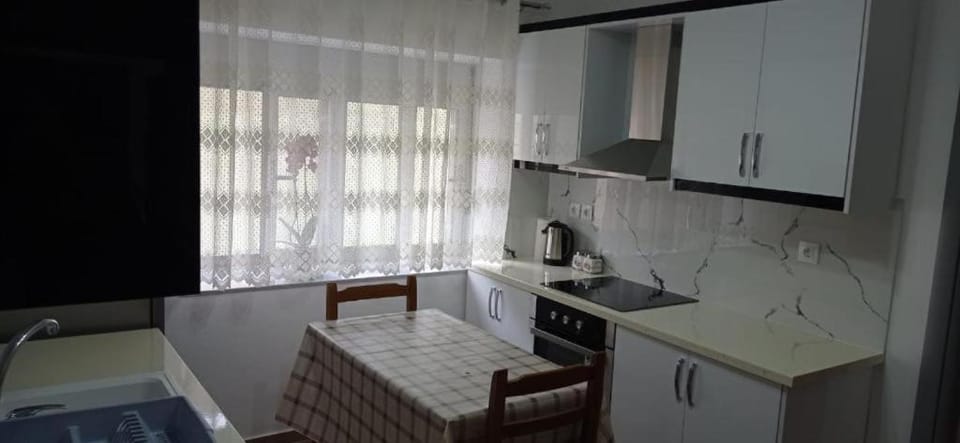 Kitchen or kitchenette, Dining area, oven, stove