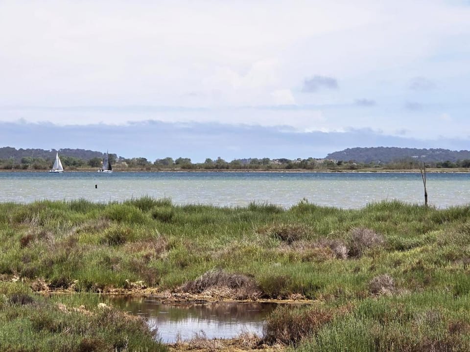 Natural landscape, Windsurfing