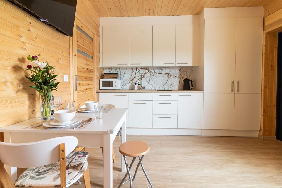 Kitchen or kitchenette, Dining area, oven, stove