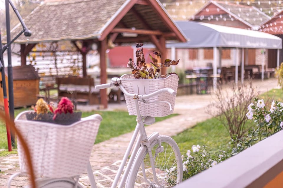 Kuća za odmor Baranjski Dvori Bed and Breakfast in Croatia