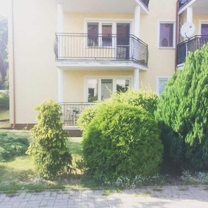 Apartament Anna Krynica Morska Apartment in Pomeranian Voivodeship