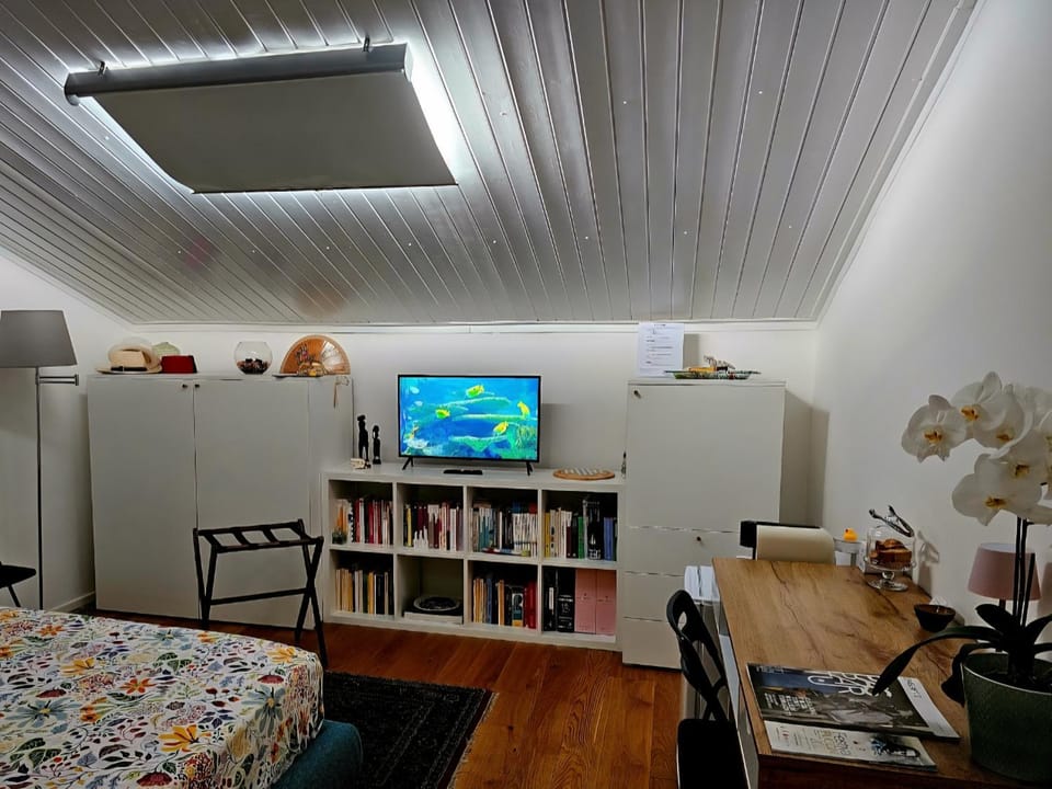 Mansarda Acquamarina Vacation rental in Viareggio