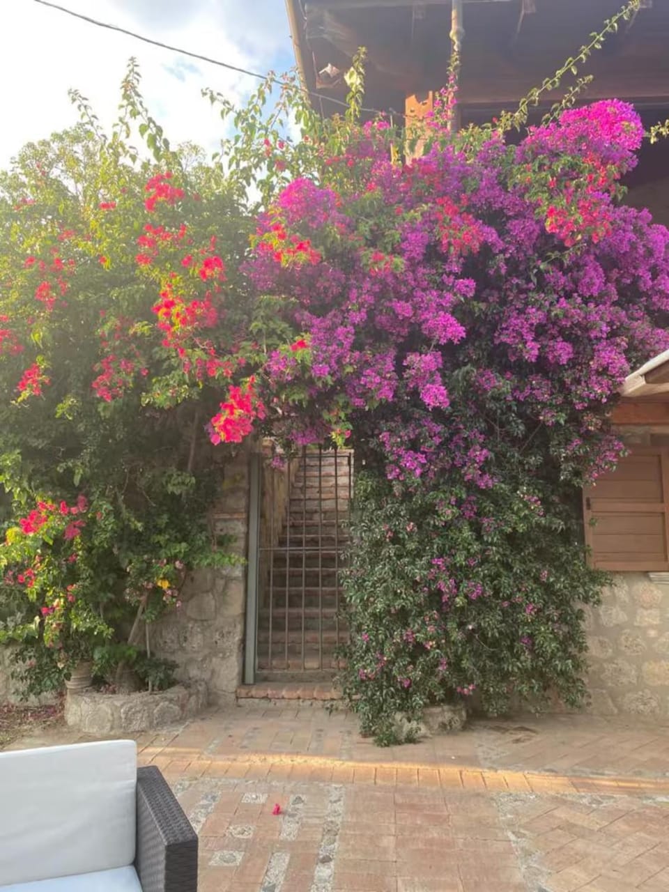 Garden view
