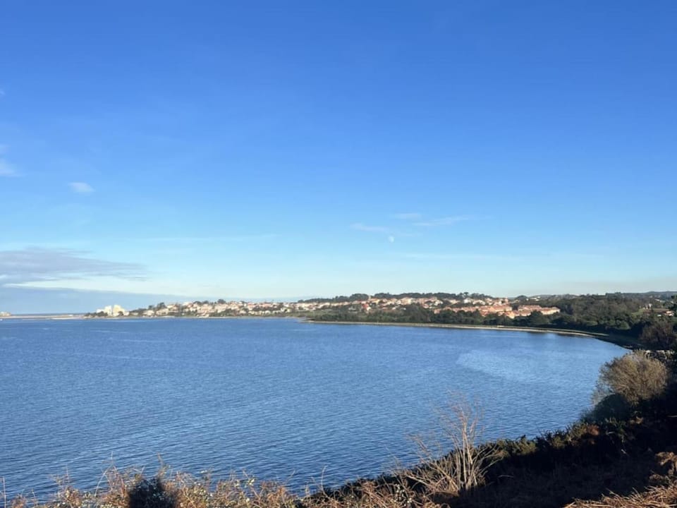 El Hogar del Calamar 32600 Apartment in Santander