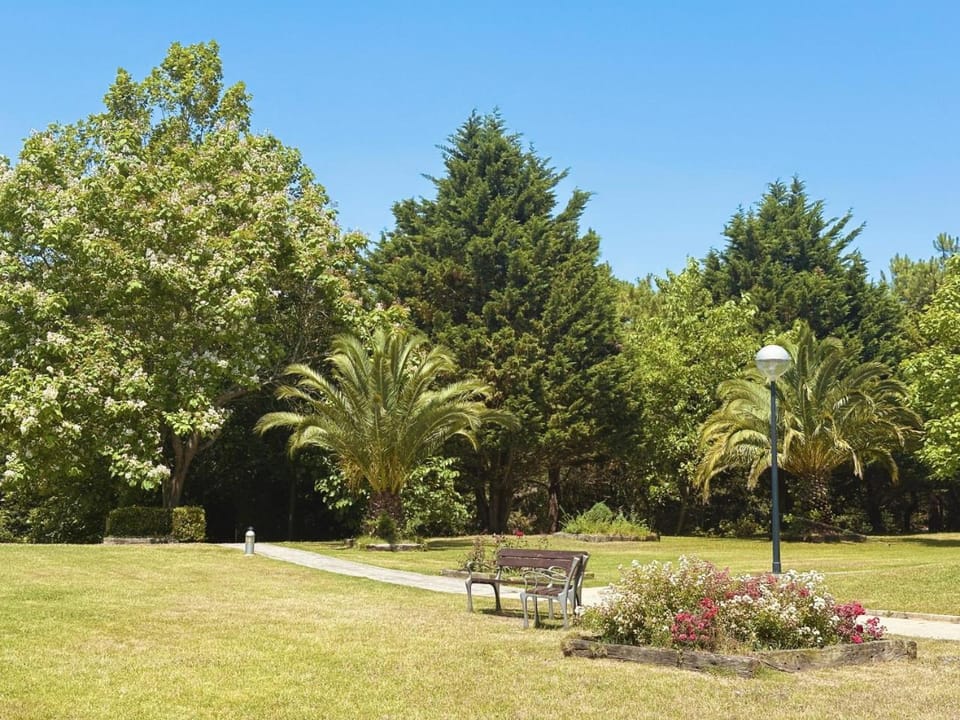 Natural landscape, Garden