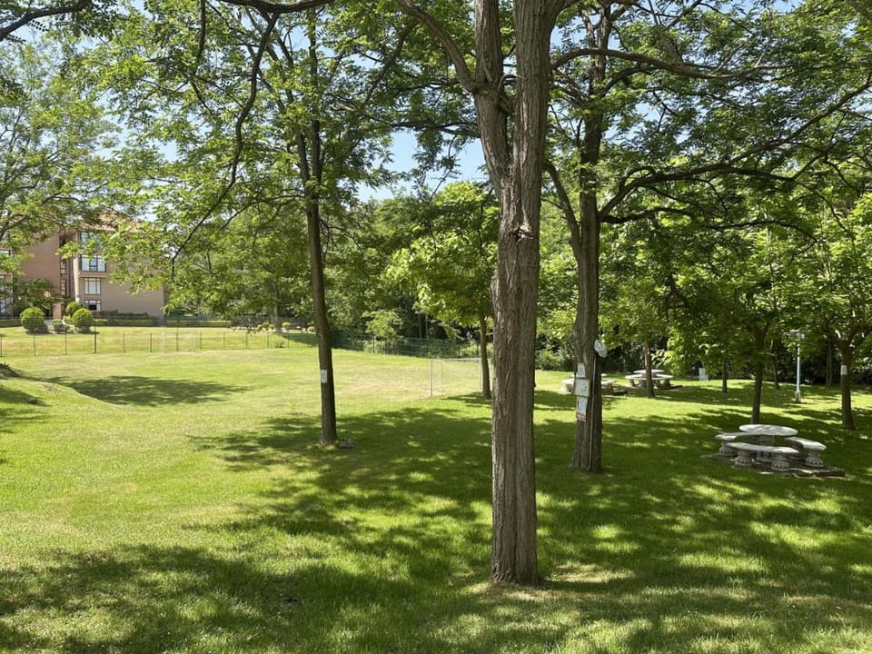Garden, Garden view