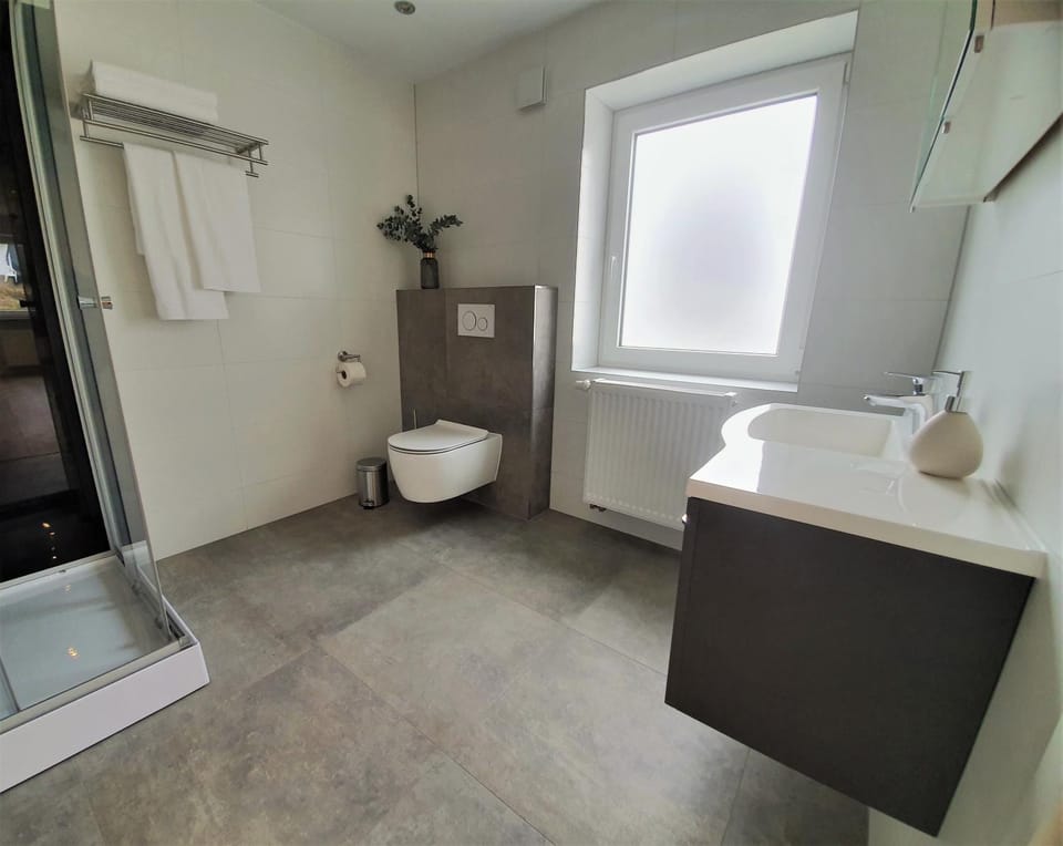 Shower, Toilet, Bathroom, towels