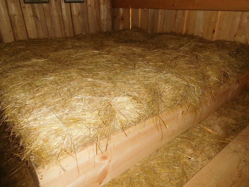 Spaní na seně Farm Stay in Czechia