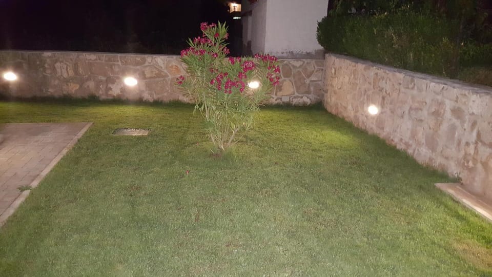 Night, Natural landscape, Decorative detail