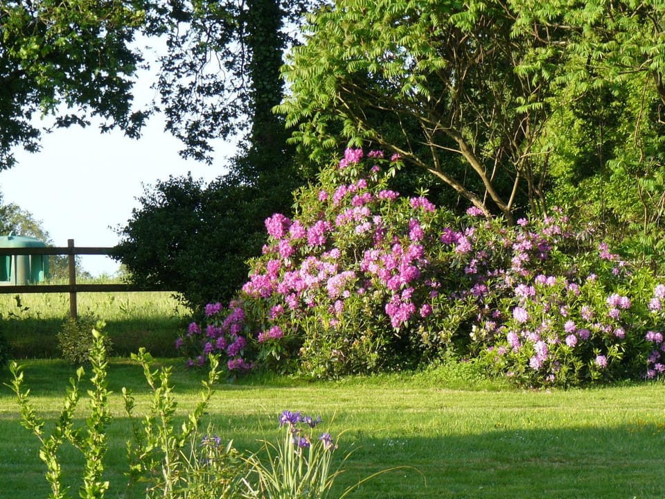 Les écuries de Bel Air Bed and Breakfast in Brittany