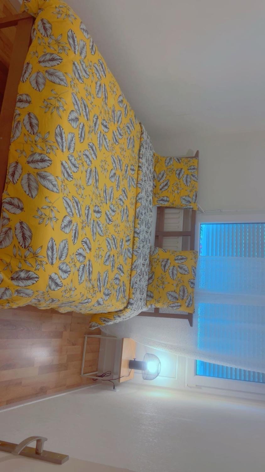 Le refuge urbain Apartment in Mulhouse