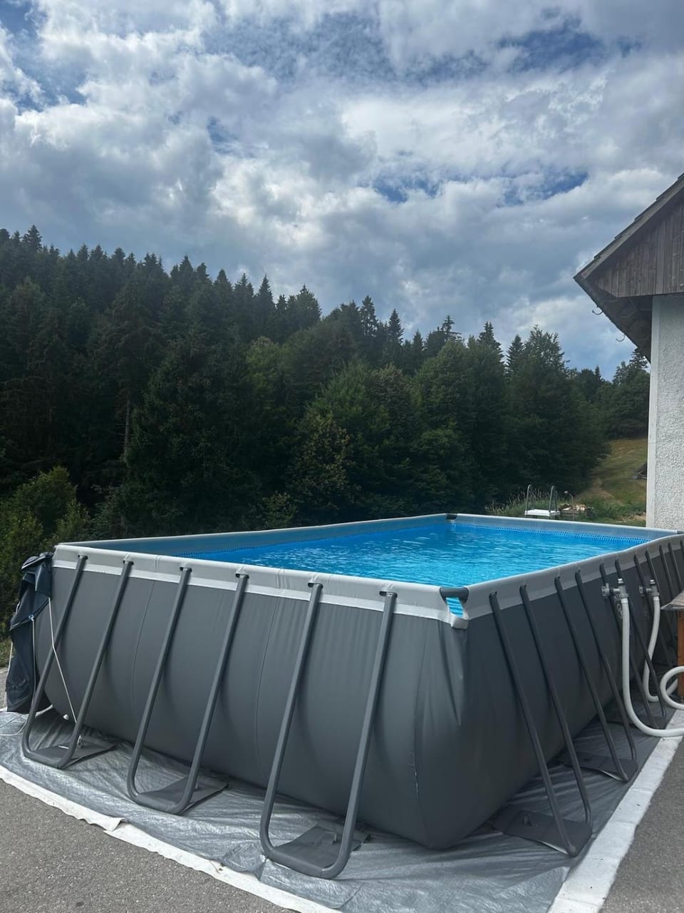 The Little Fern Apartment Apartment in Slovenia