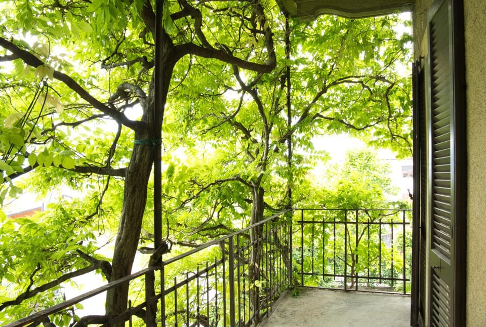 Balcony/Terrace, Other