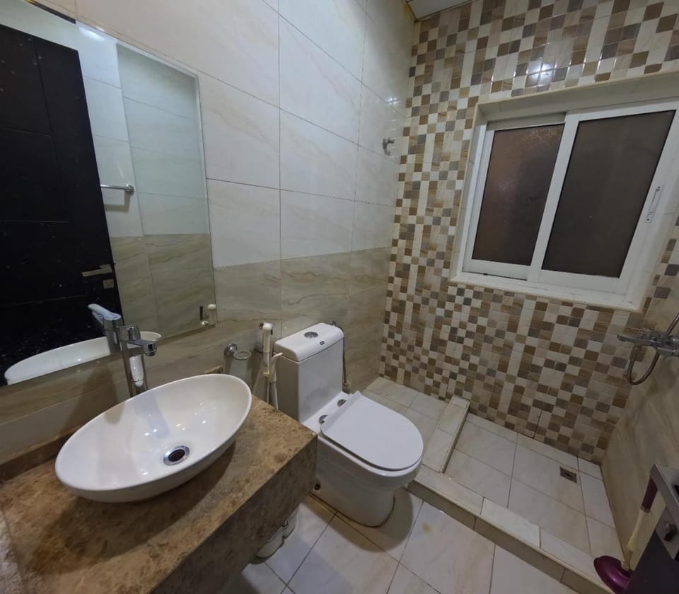 1 BHK Apartment Apartment in Ajman