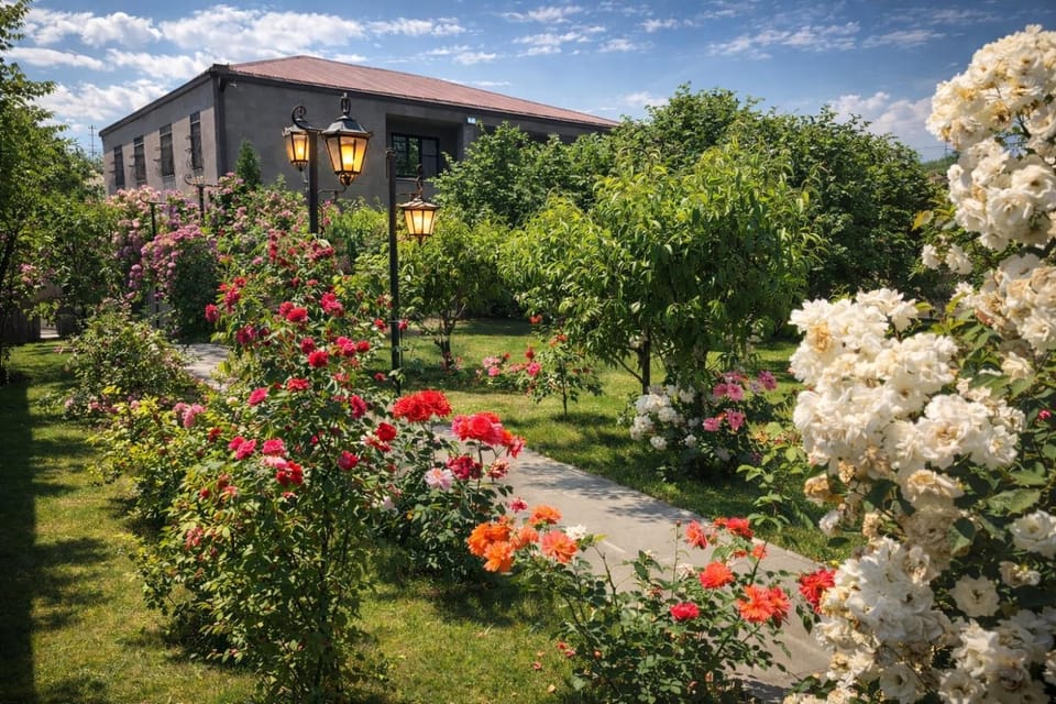 Property building, Spring, Day, Natural landscape, Garden, Garden view