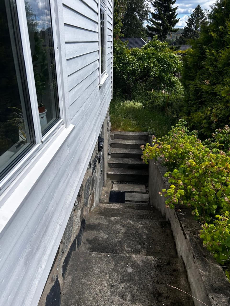 Day, Garden