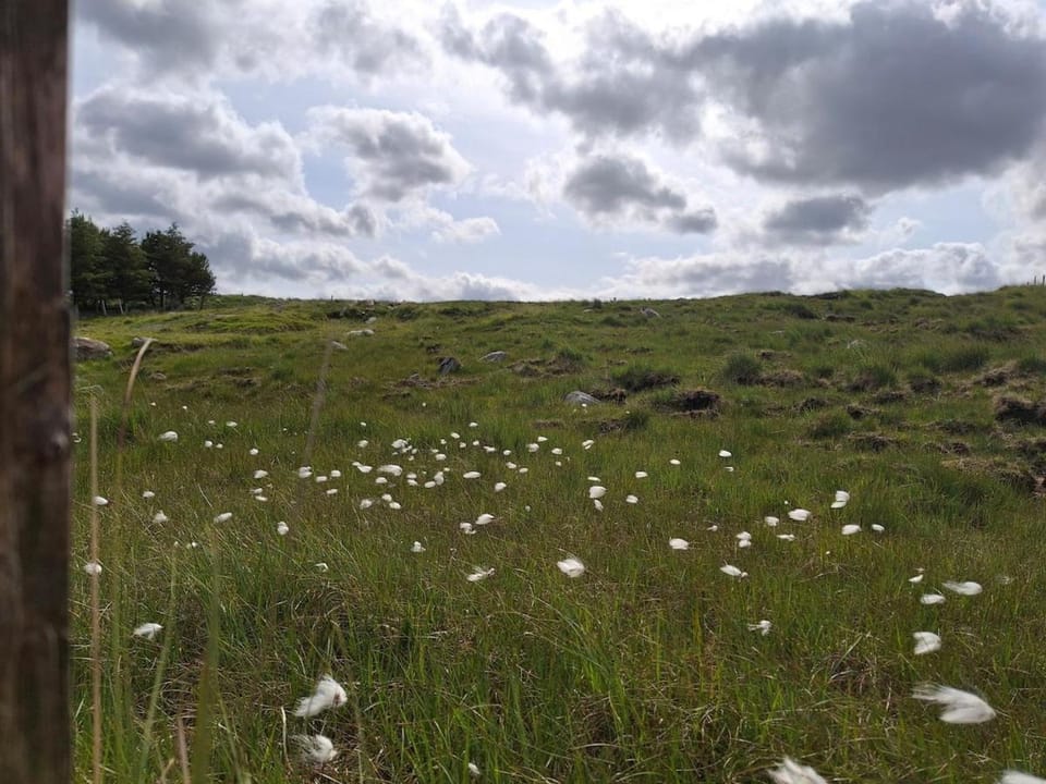 Wooly Huts Grey Apartment in County Mayo