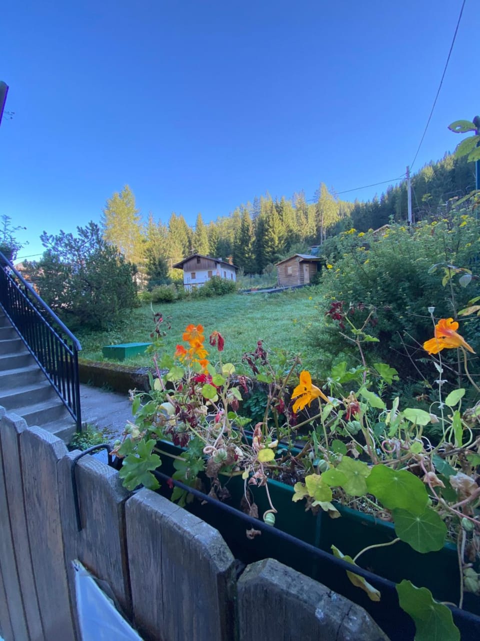Garden view