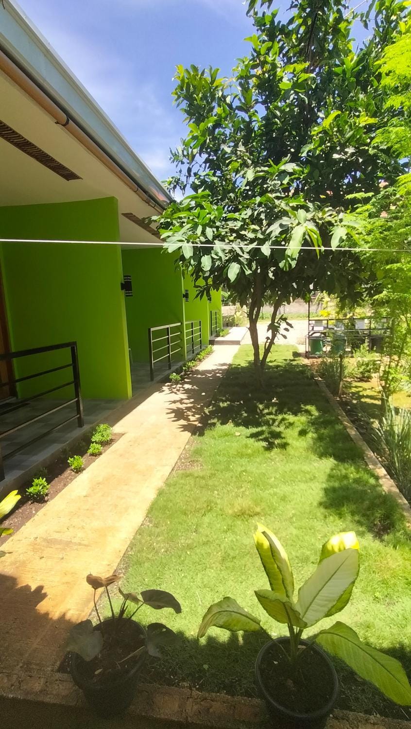 Malunggay's Inn Apartment in Panglao