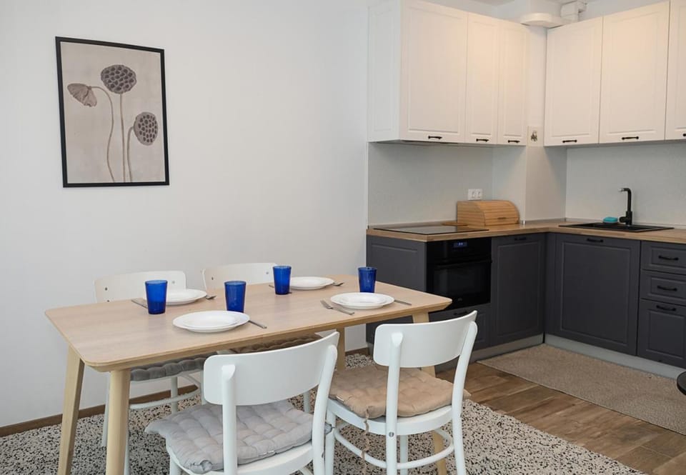 Kitchen or kitchenette, Dining area, stove