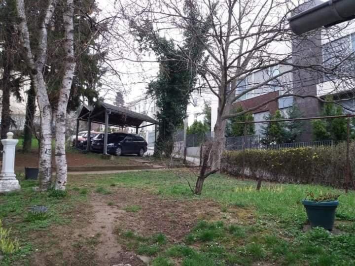 August Apartment in Belgrade