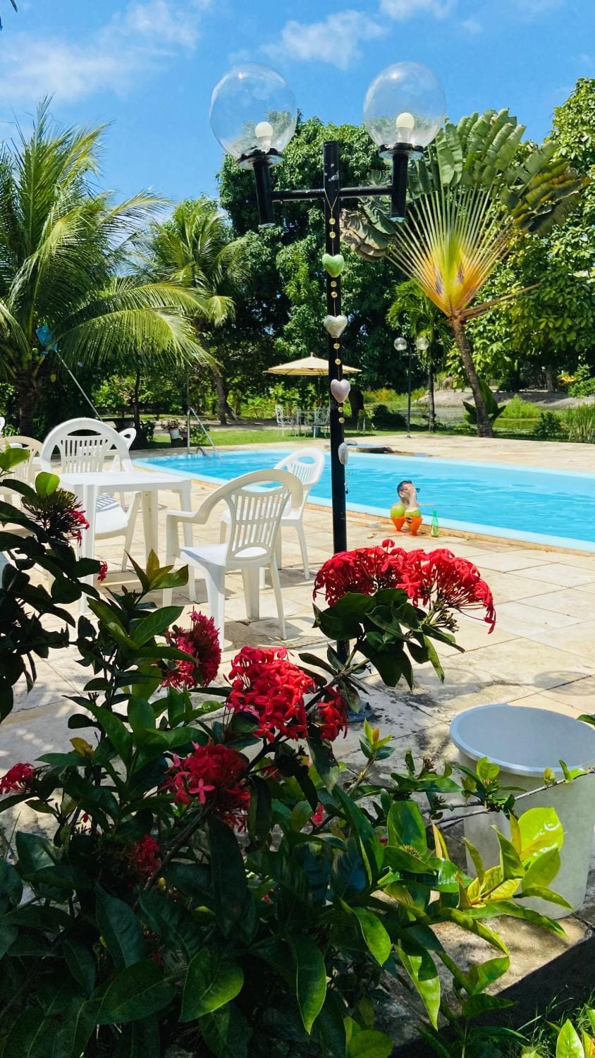Spring, Garden, Garden view, Pool view, Swimming pool