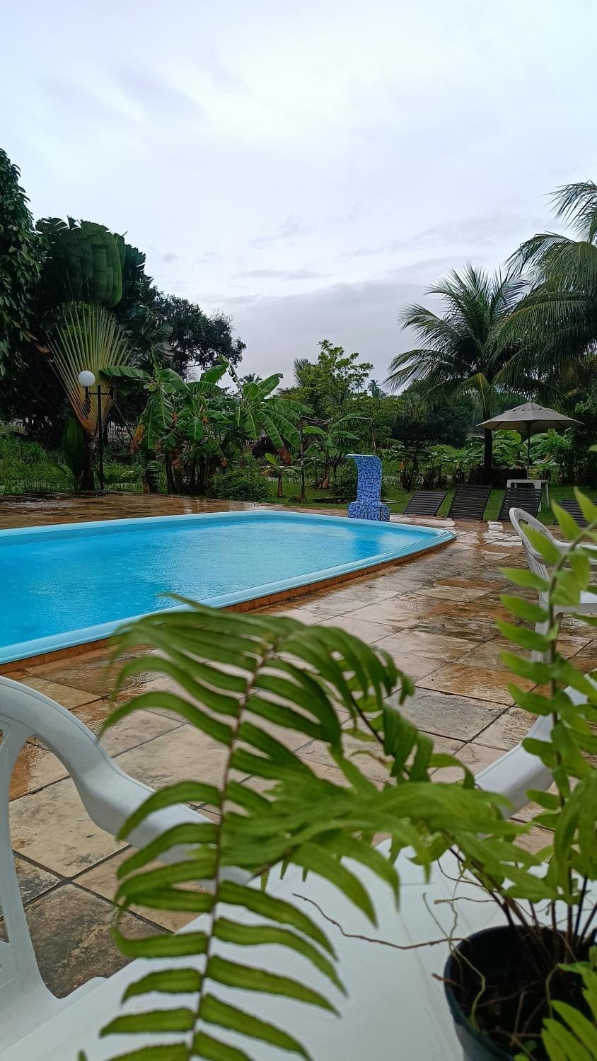 Garden, Garden view, Pool view, Swimming pool