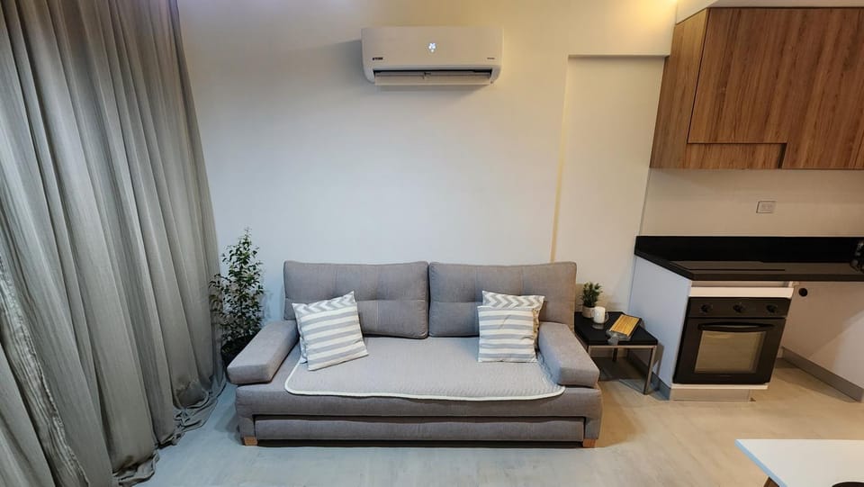 Kitchen or kitchenette, Living room, Seating area, air conditioner