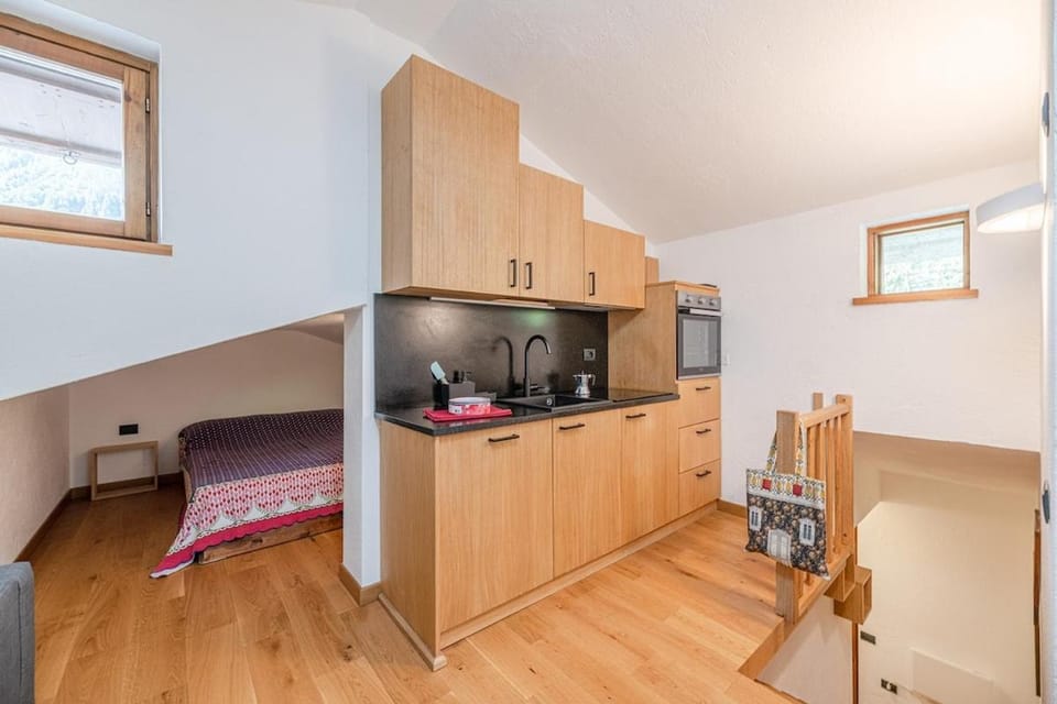 Nest-home in front to Mont Blanc Apartment in Entrèves