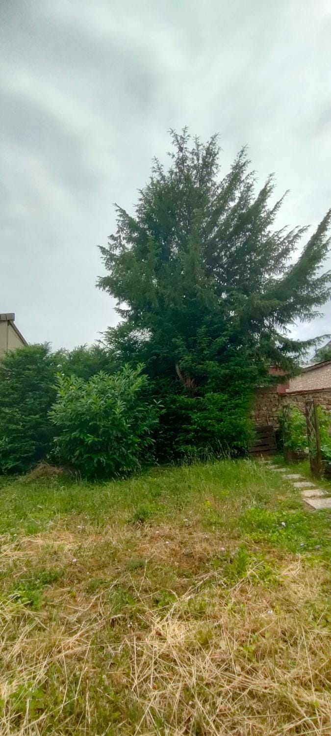 Garden, Garden view