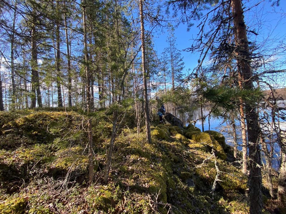 Natural landscape, Lake view