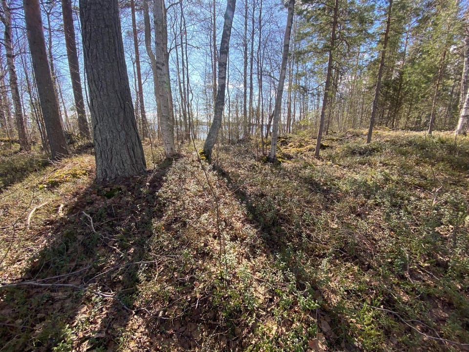 Natural landscape