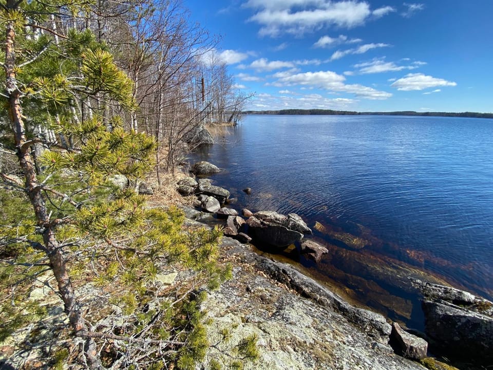 Lake view
