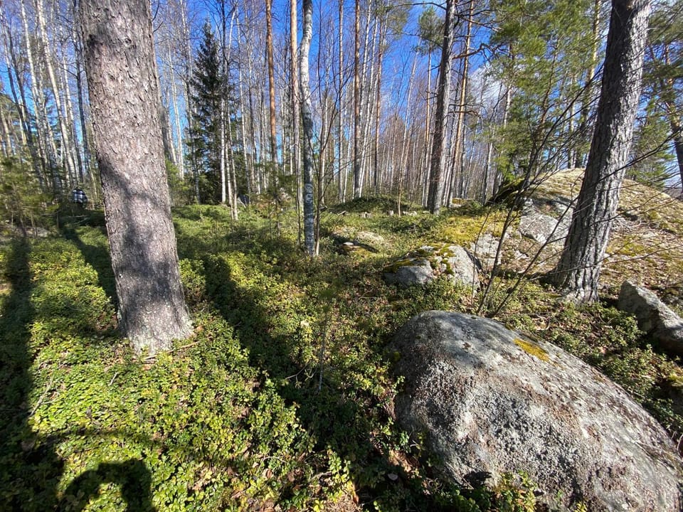 Natural landscape