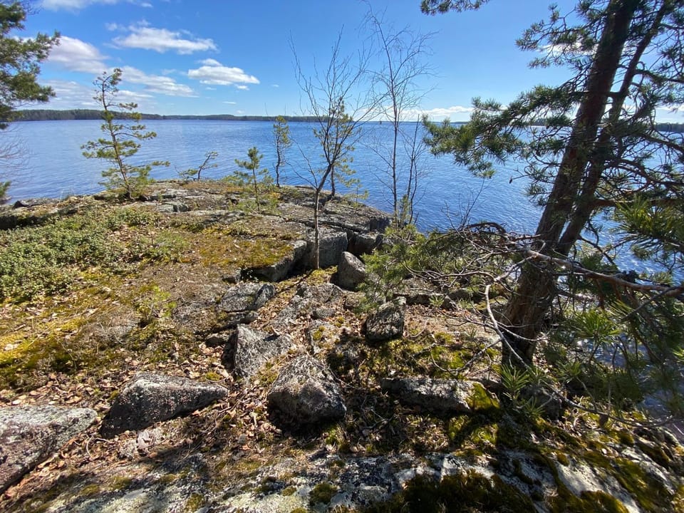 Lake view