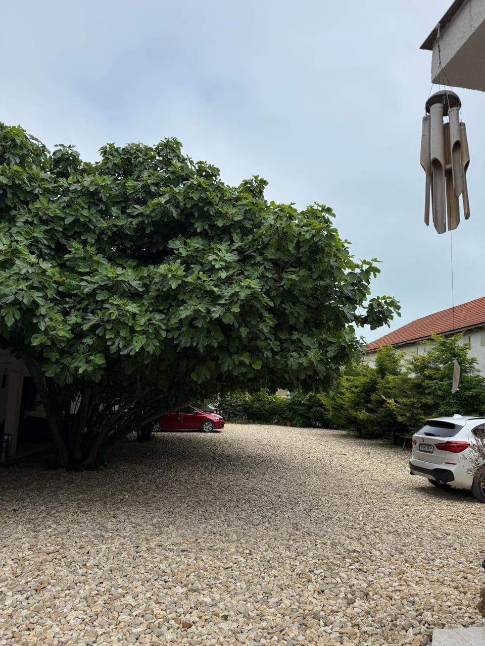 Garden, Parking
