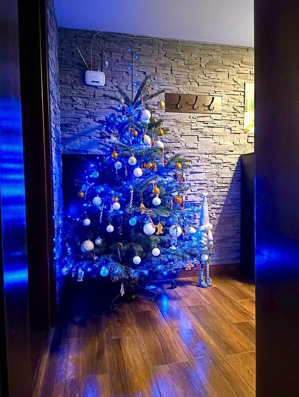 W sercu Małych Pienin - apartament Apartment in Lesser Poland Voivodeship