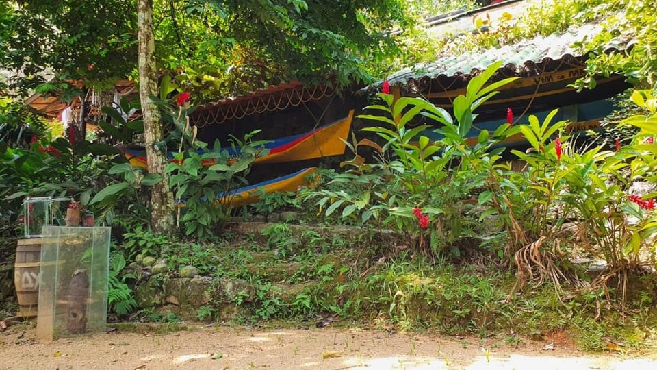 1500 metros quadrados na beira da praia House in Angra dos Reis