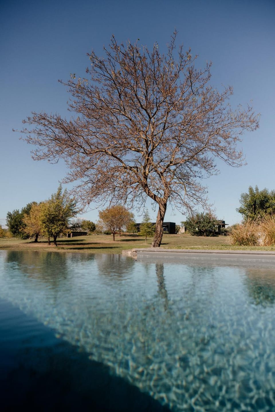 Spring, Day, Natural landscape, Pool view, Swimming pool