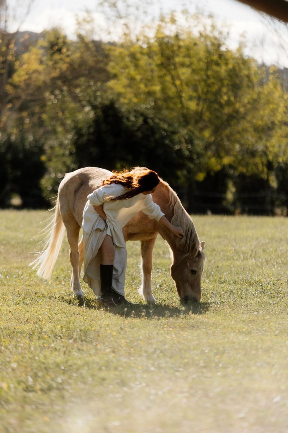 Day, Animals, Pets