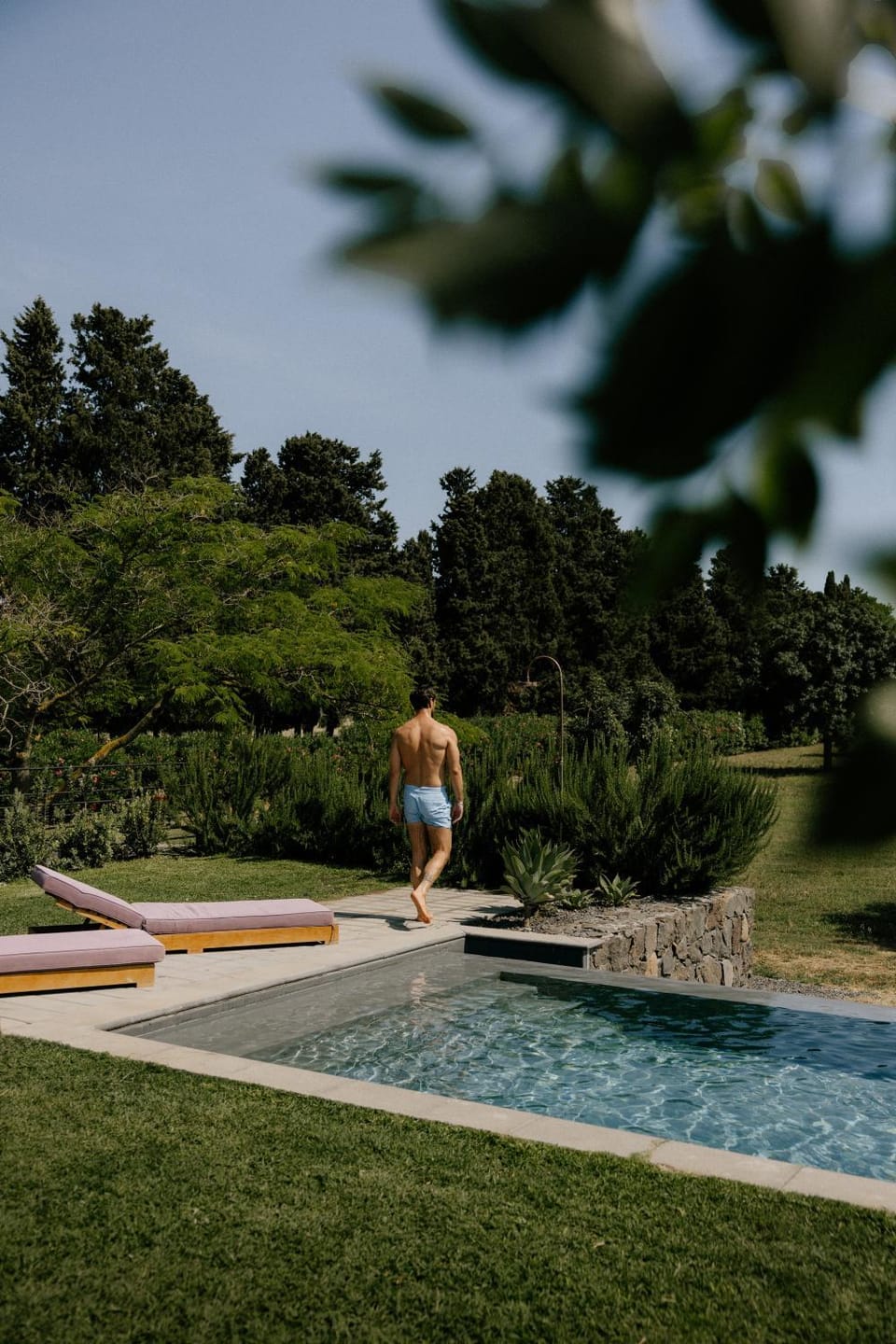 Spring, Day, People, Natural landscape, Garden, Guests, Garden view, Pool view, Swimming pool, group of guests