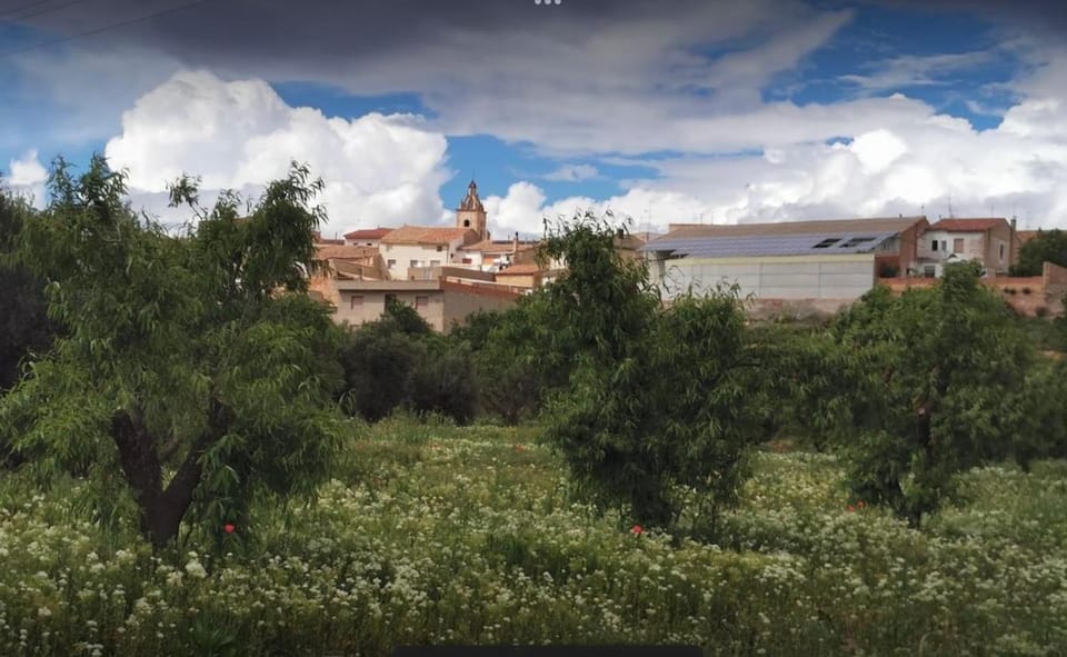 Casa Aurora, mi aldea ,entre viñas y almendros House in Valencian Community