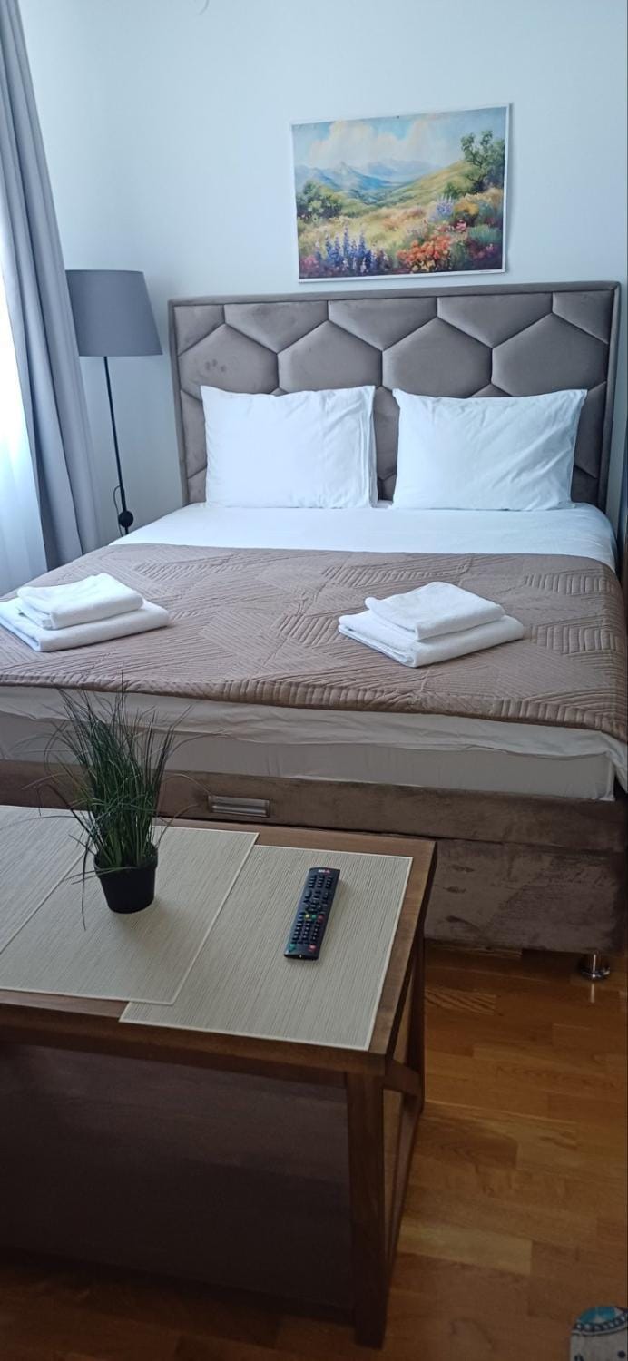 Apartman Iva Brzeće-Kopaonik Apartment in Serbia