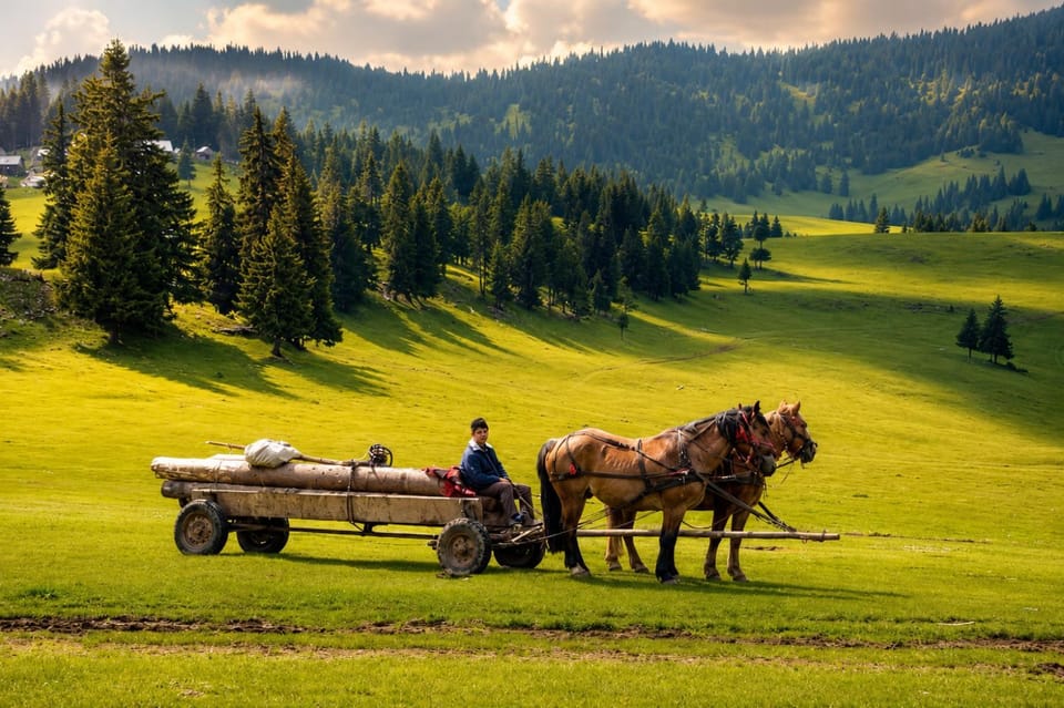 Day, Natural landscape, Horse-riding, Mountain view