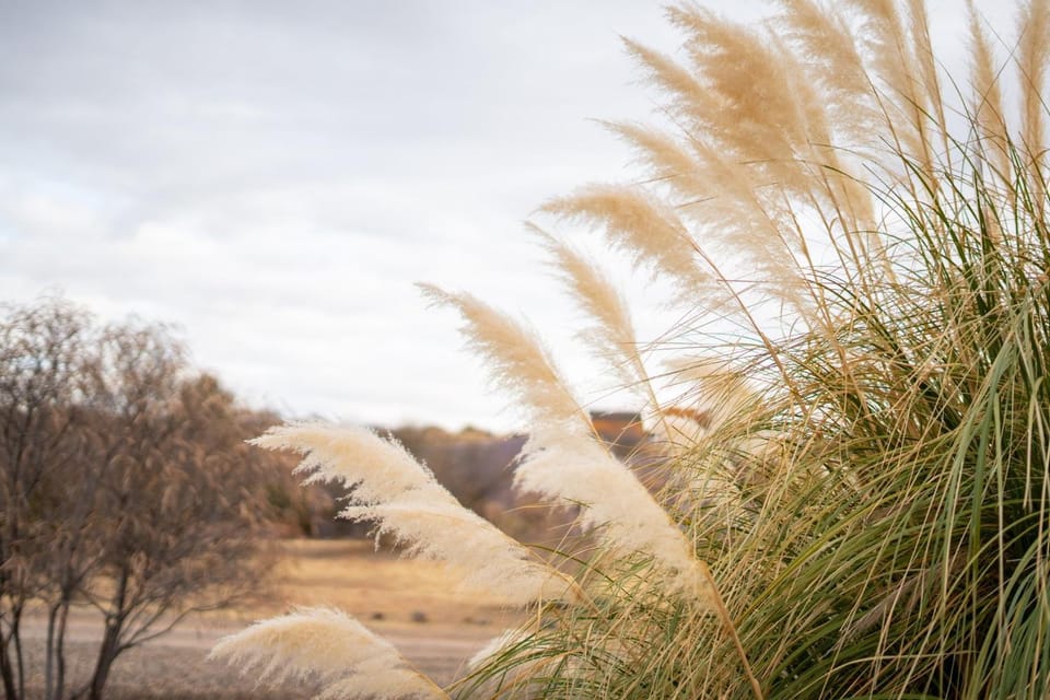 Natural landscape